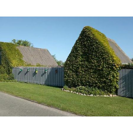 Ferienhaus Deichblick Apartment Dornum Exterior photo